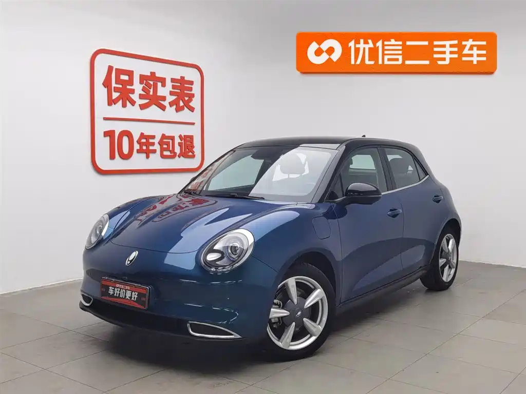 Euler Good Cat 2022 Morandi Edition 400km standard battery life luxury model ternary lithium купить на сайте DeffCars