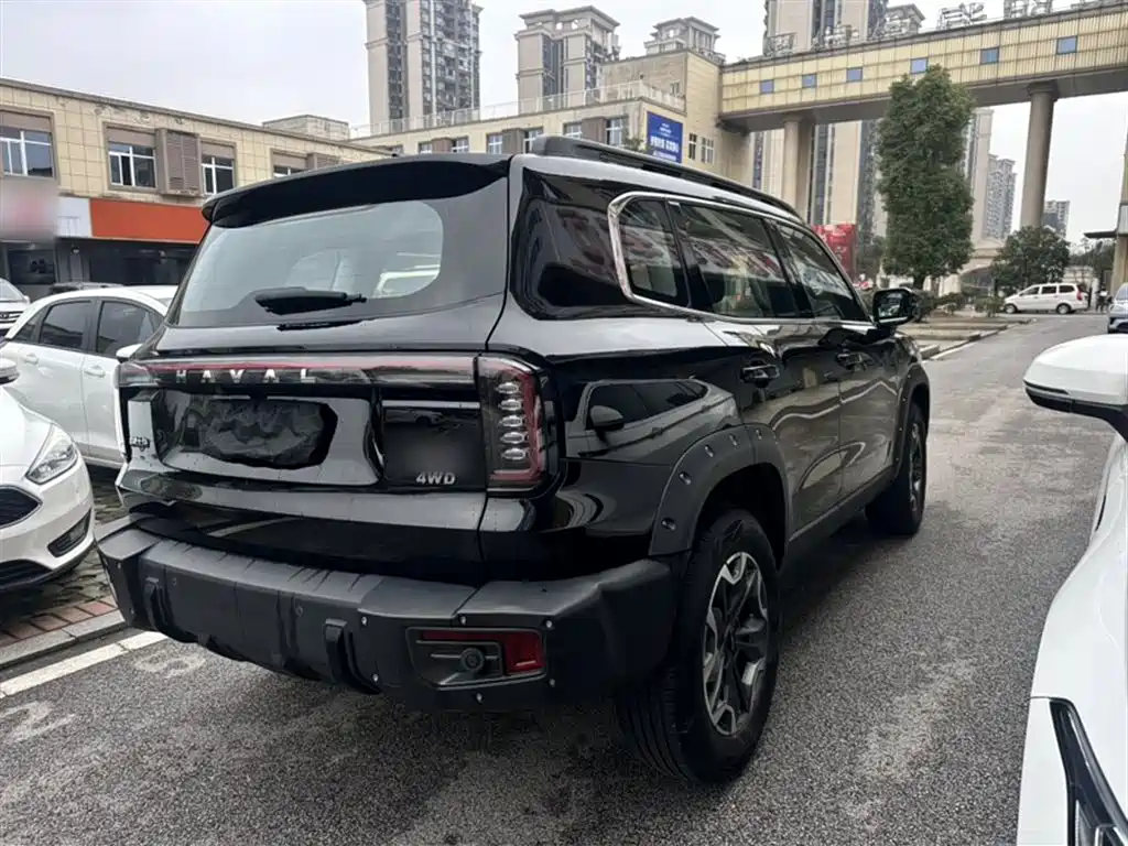 Havaldog 2024 2.0T DCT Chinese Pastoral Dog Edition купить на сайте DeffCars