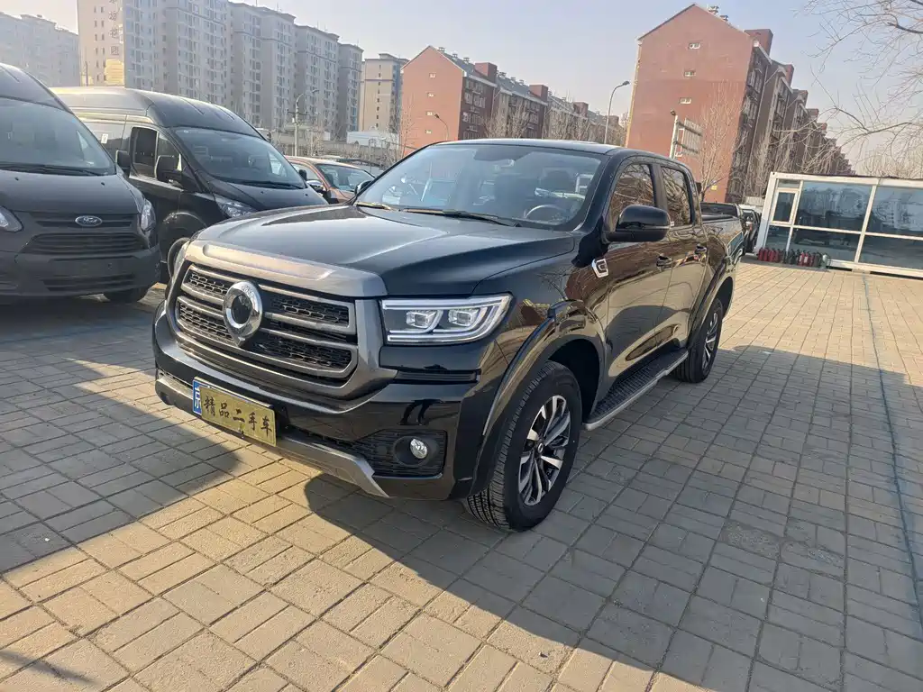 Cannon 2023 2.0T passenger version automatic gasoline four-wheel drive comfort model GW4C20B купить на сайте DeffCars