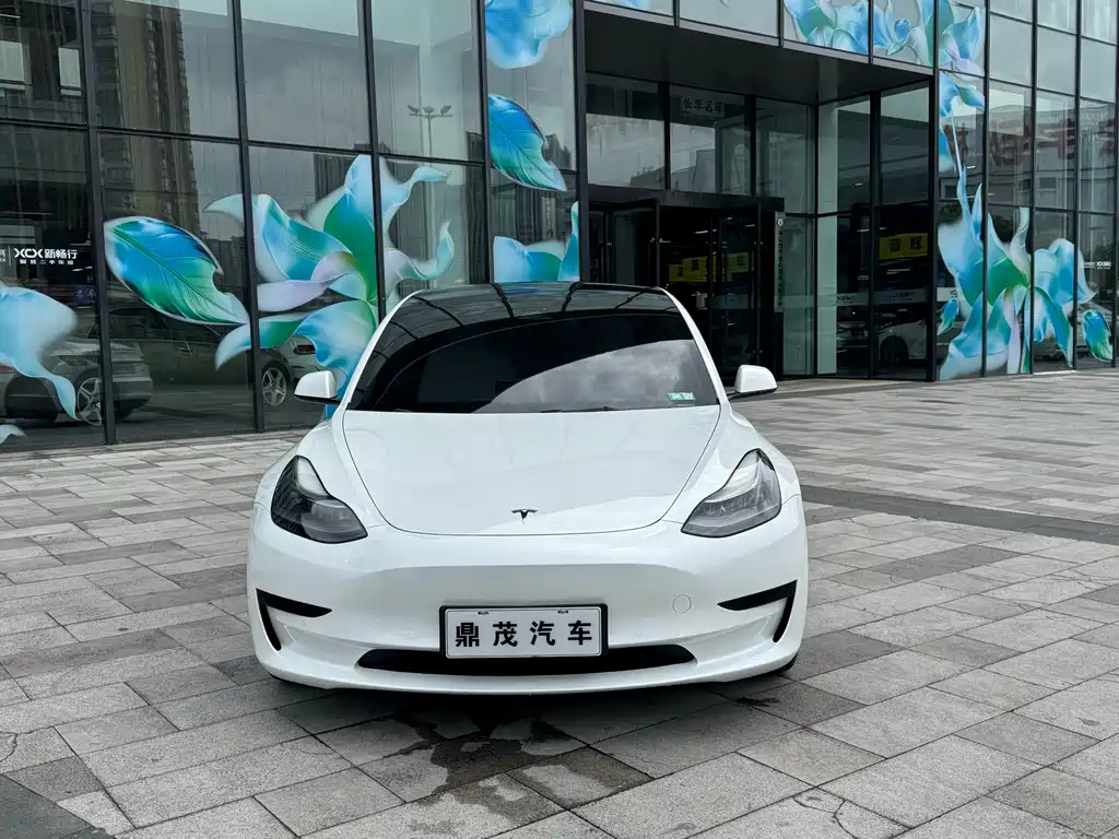 Model 3 2022 rear-wheel drive version купить на сайте DeffCars