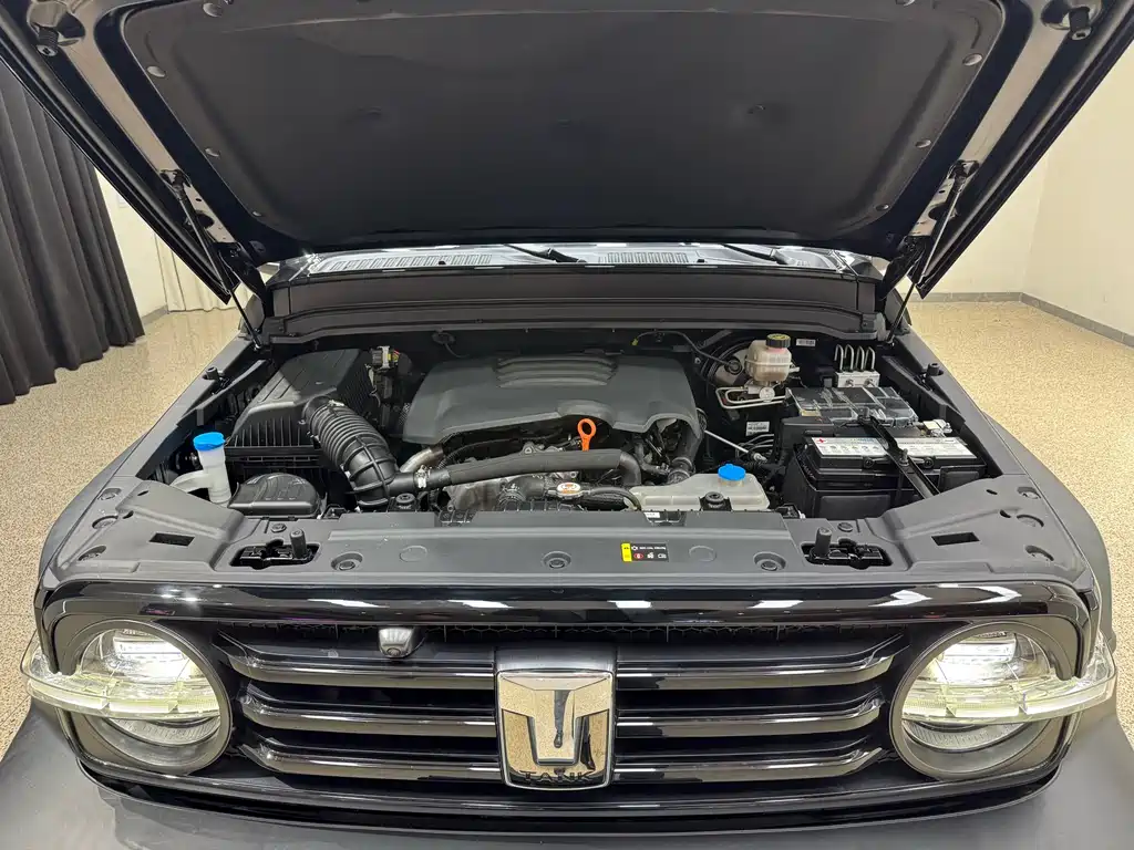 Tank 300 2021 Off-Road Version 2.0T Conqueror купить на сайте DeffCars