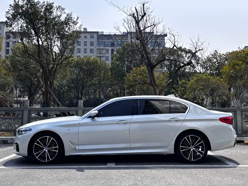 BMW 5 Series 2020 530Li Exclusive M Sports Package купить на сайте DeffCars