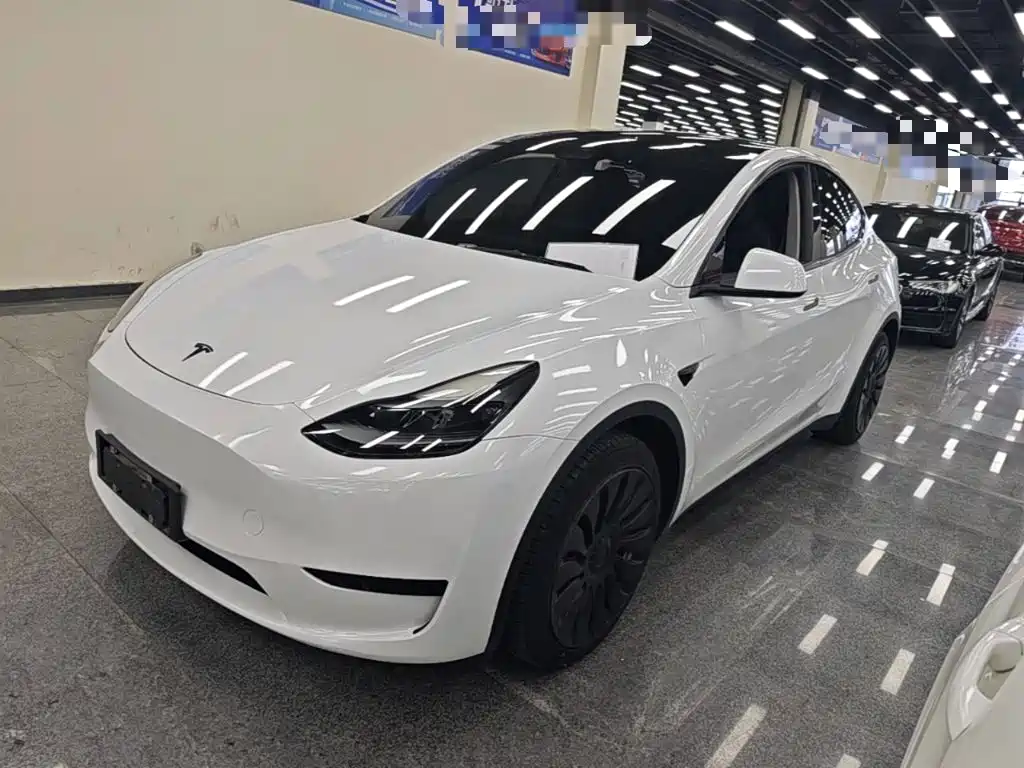 Model Y 2022 rear-wheel drive version купить на сайте DeffCars
