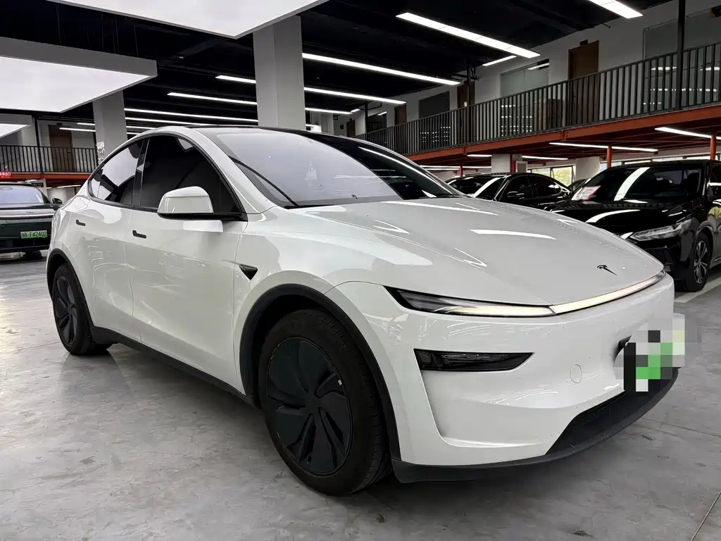 Model Y 2025 rear-wheel drive version купить на сайте DeffCars