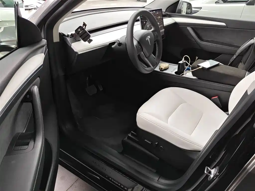 Model Y 2021 standard range rear-wheel drive version купить на сайте DeffCars