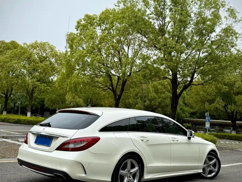 Mercedes-Benz CLS 2016 CLS 260 Hunting Edition купить на сайте DeffCars