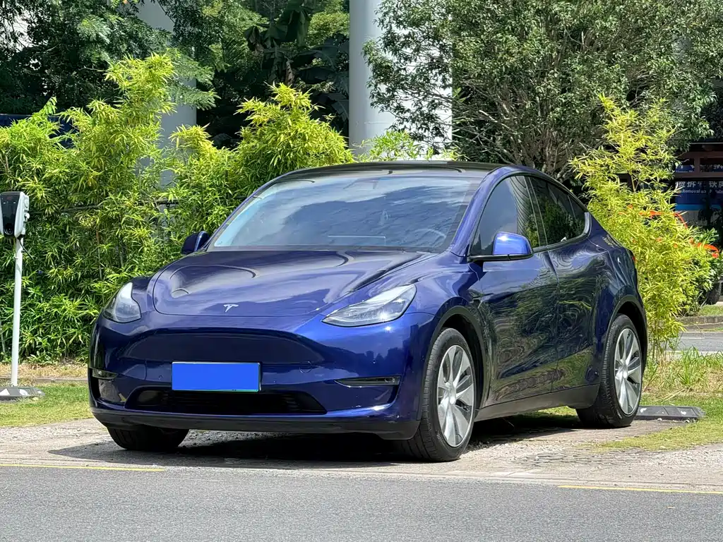 Model Y 2021 long-range all-wheel drive version 3D7 купить на сайте DeffCars