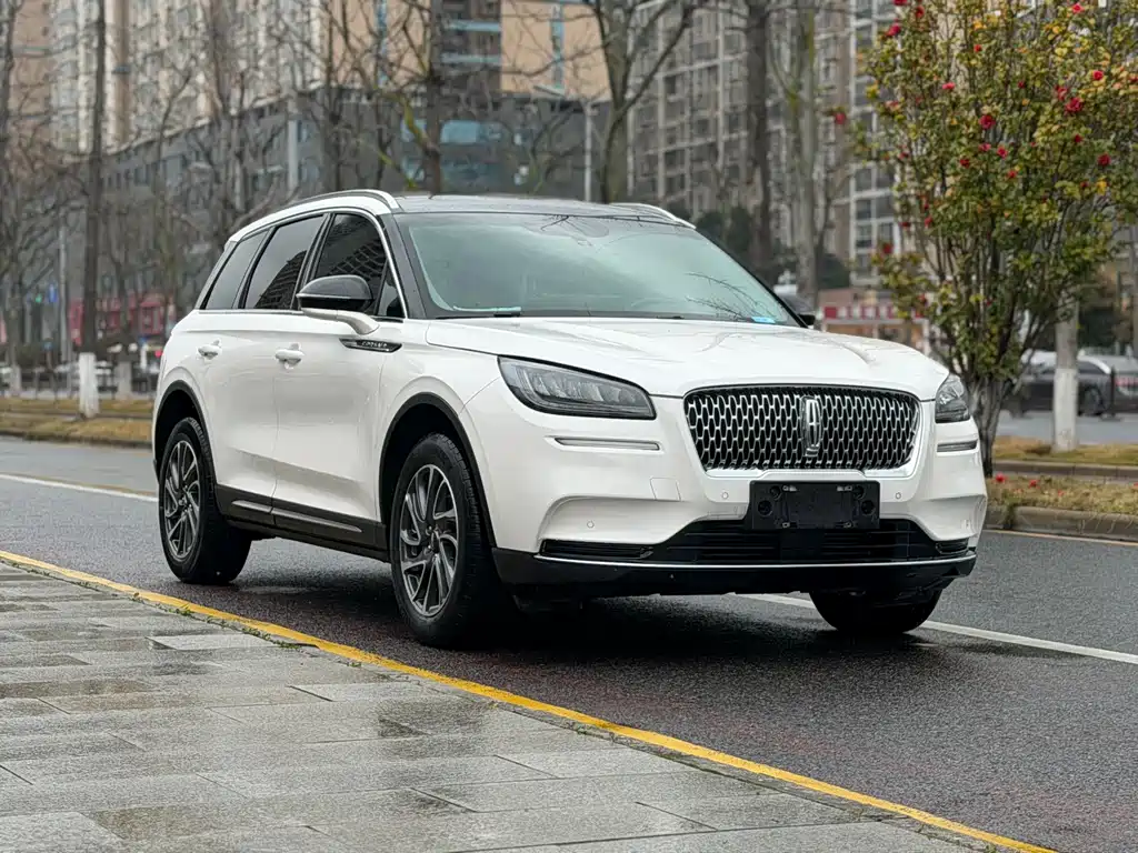 Adventurer 2021 2.0T two-wheel drive exclusive edition купить на сайте DeffCars