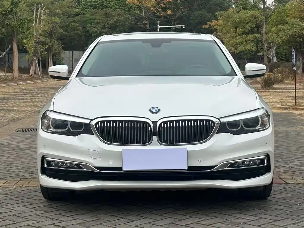 BMW 5 Series 2018 530Li xDrive M Sports Package купить на сайте DeffCars