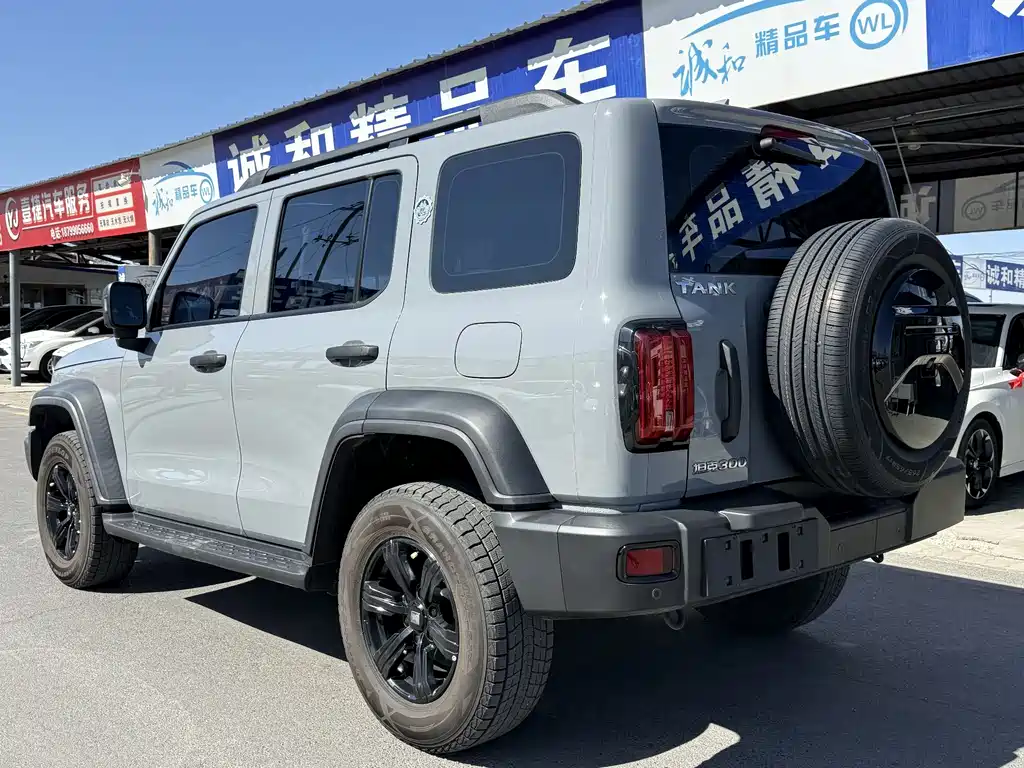 Tank 300 2021 Off-Road Version 2.0T Conqueror купить на сайте DeffCars