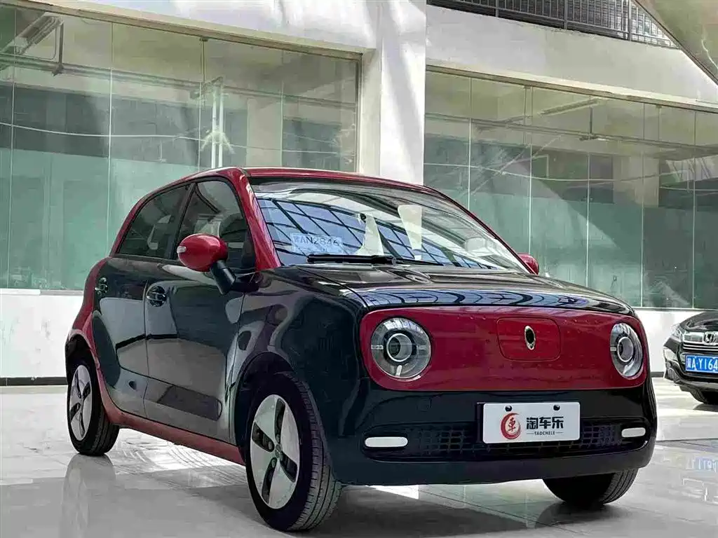 Euler Black Cat 2021 301km basic model купить на сайте DeffCars