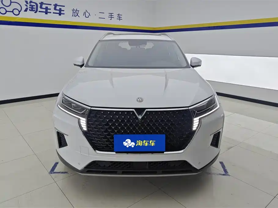Venucia 2023 260T Xingxiancheng Edition Pro купить на сайте DeffCars