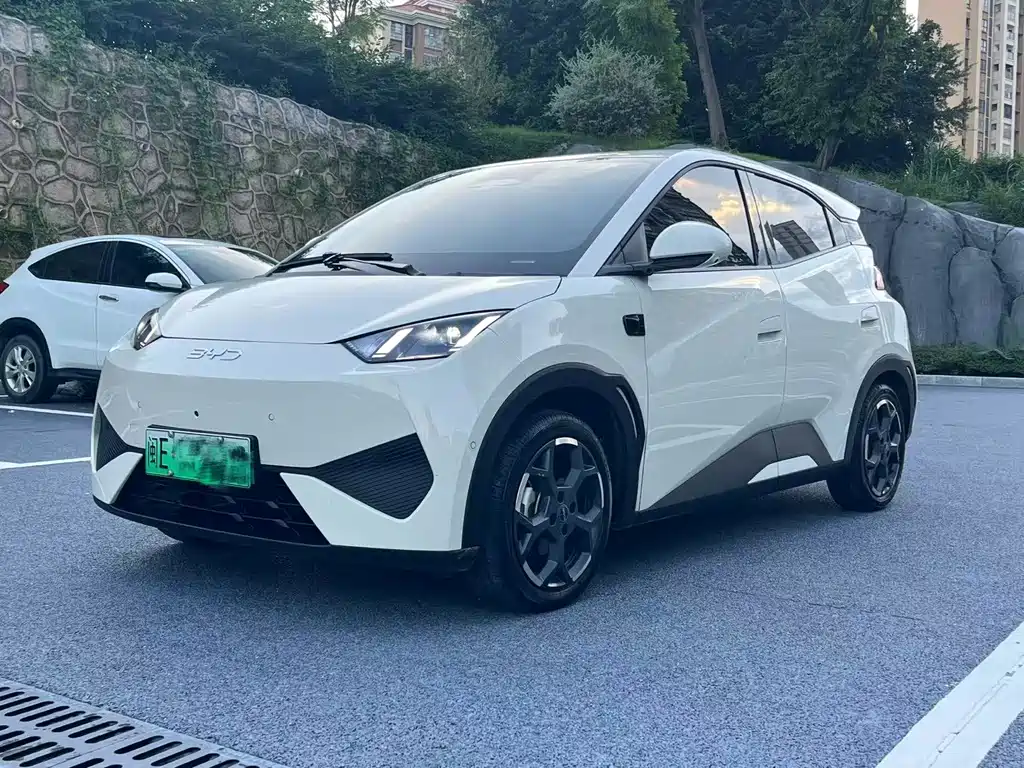 Seagull 2025 smart driving version 305km free version купить на сайте DeffCars