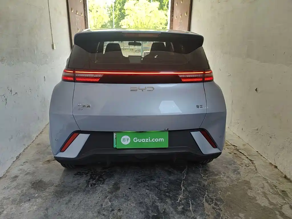 Seagull 2024 Honor Edition 305km Free Edition купить на сайте DeffCars
