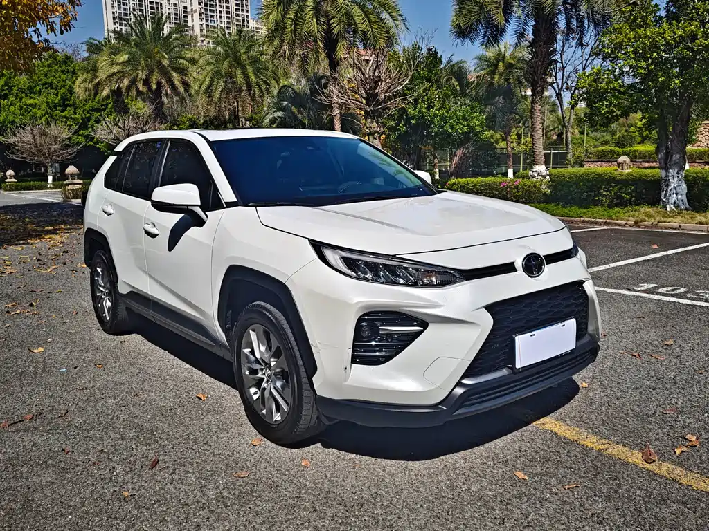 Weilanda 2023 2.0L CVT two-wheel drive urban version купить на сайте DeffCars