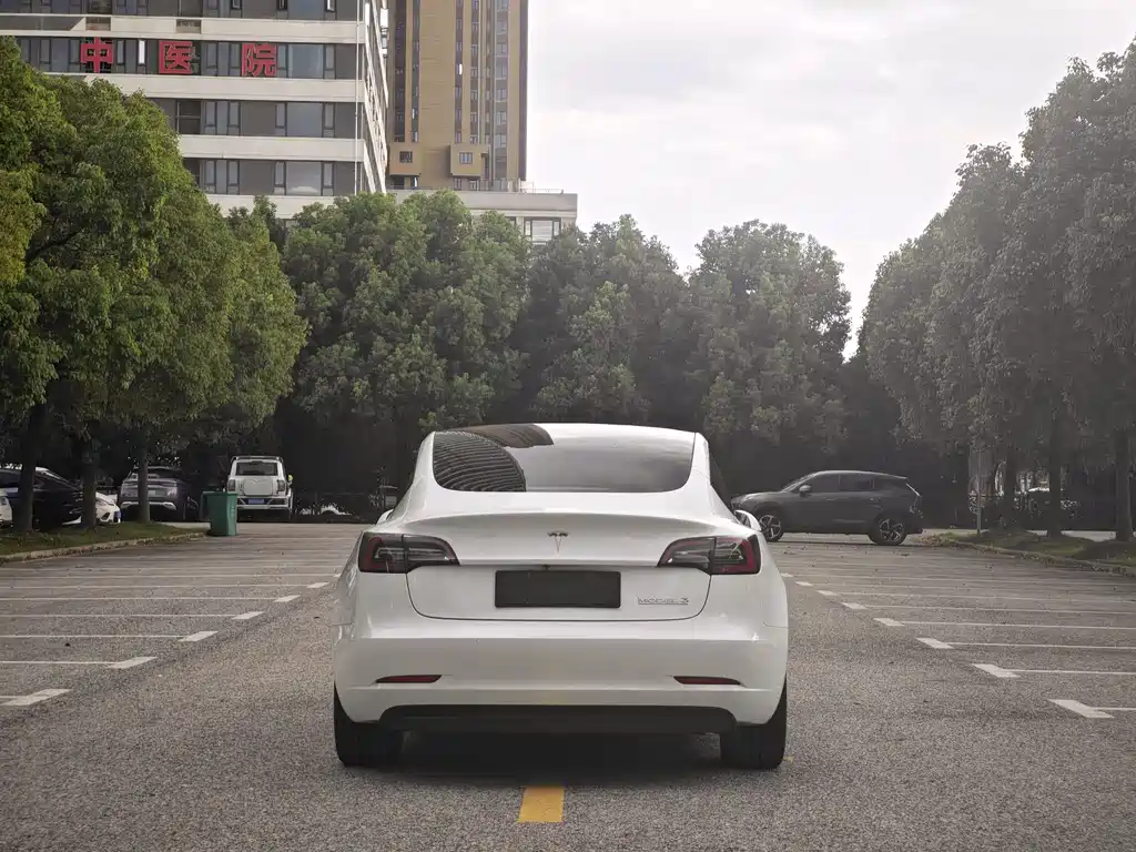 Model 3 2022 rear-wheel drive version купить на сайте DeffCars