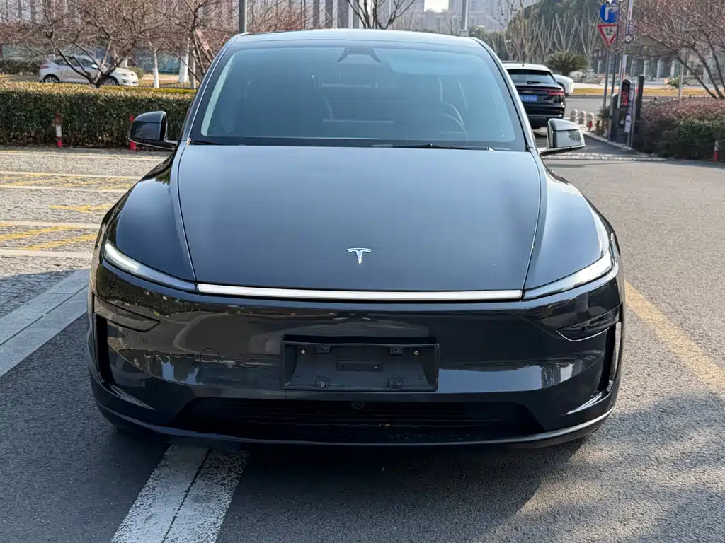Model Y 2025 rear-wheel drive version купить на сайте DeffCars