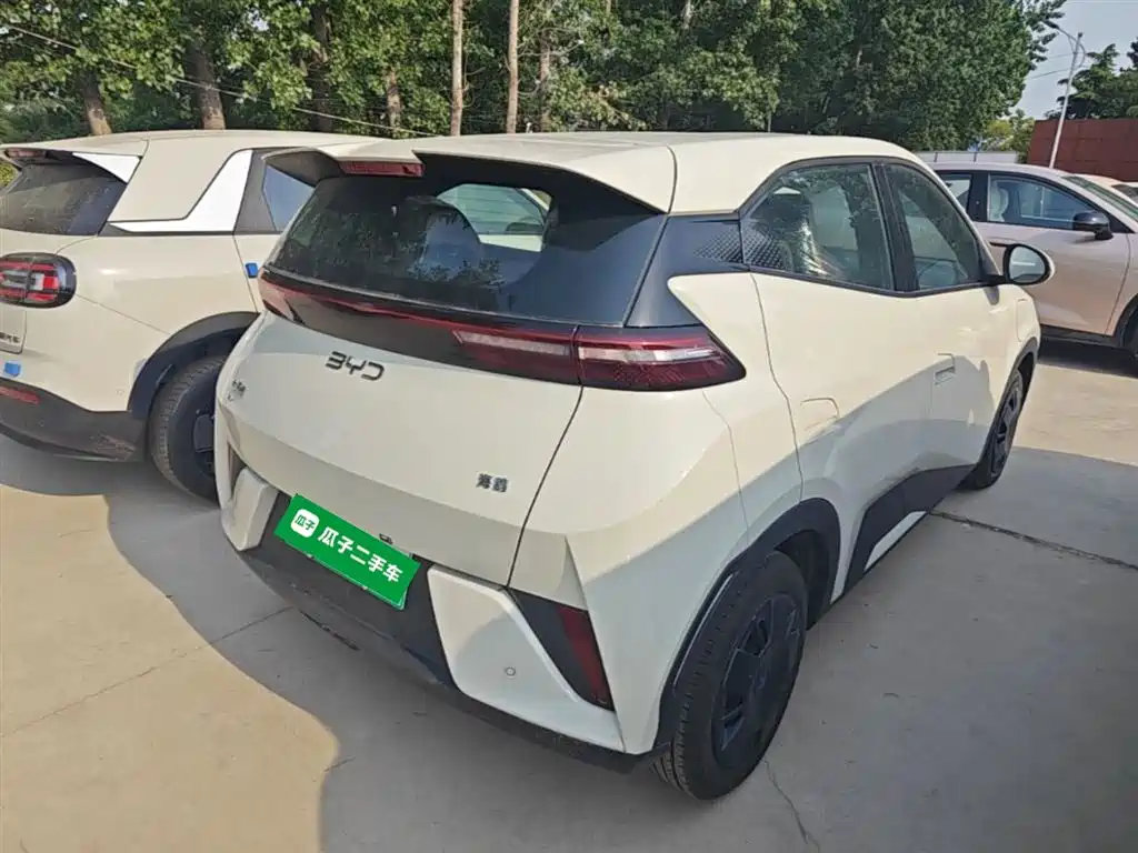 Seagull 2025 305km active version купить на сайте DeffCars