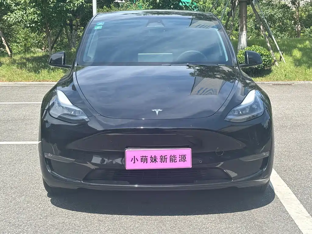 Model Y 2023 long-range all-wheel drive version купить на сайте DeffCars