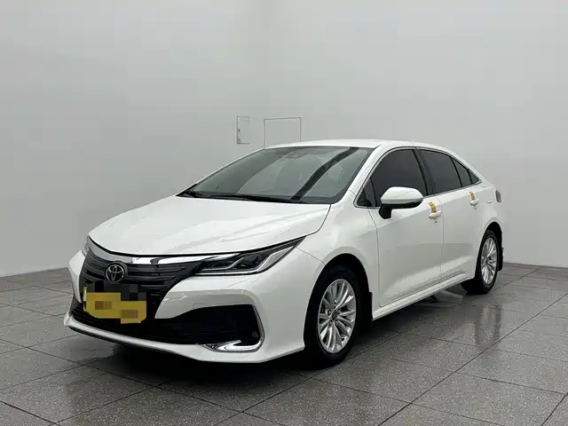 Asia Lion 2021 2.0L Advanced Edition купить на сайте DeffCars