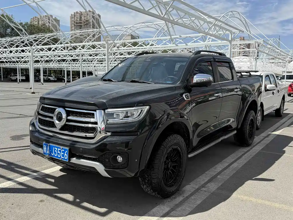 Cannon 2023 2.0T passenger version automatic gasoline four-wheel drive exclusive model GW4C20B купить на сайте DeffCars