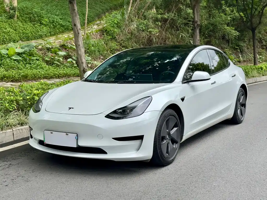 Model 3 2022 rear-wheel drive version купить на сайте DeffCars