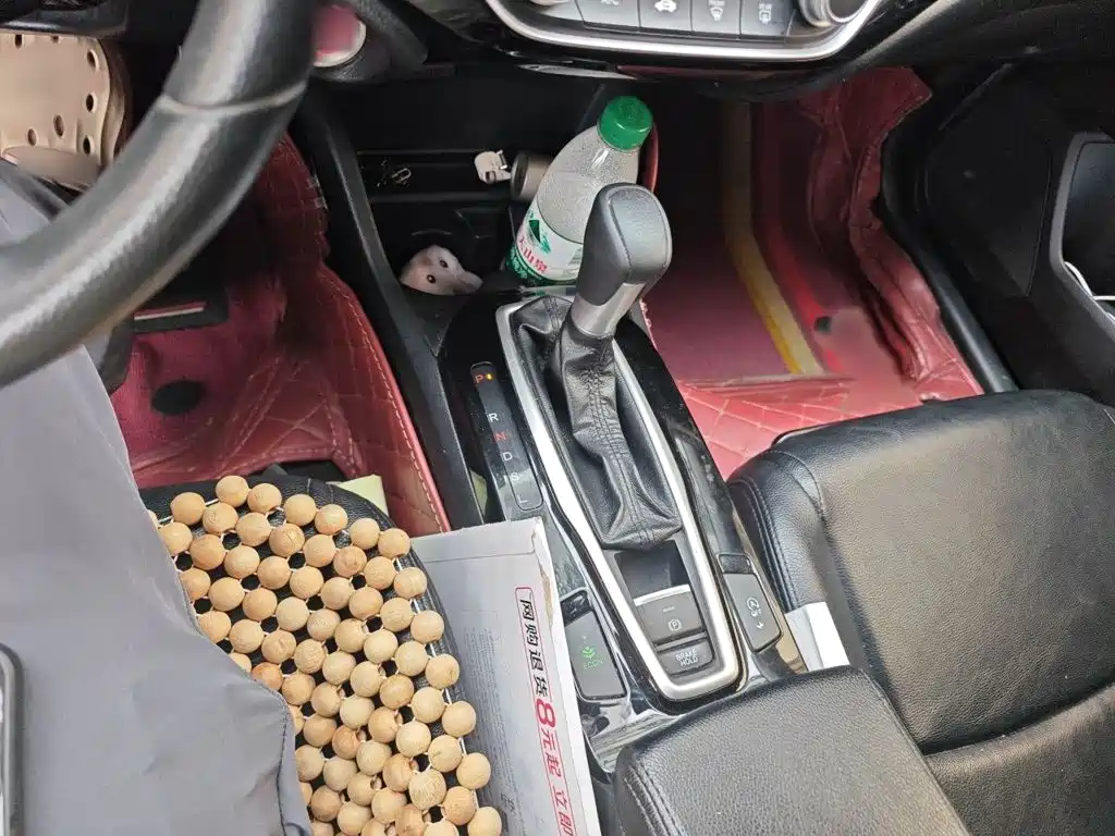 Lingpai 2019 180Turbo CVT Comfort Edition National V купить на сайте DeffCars