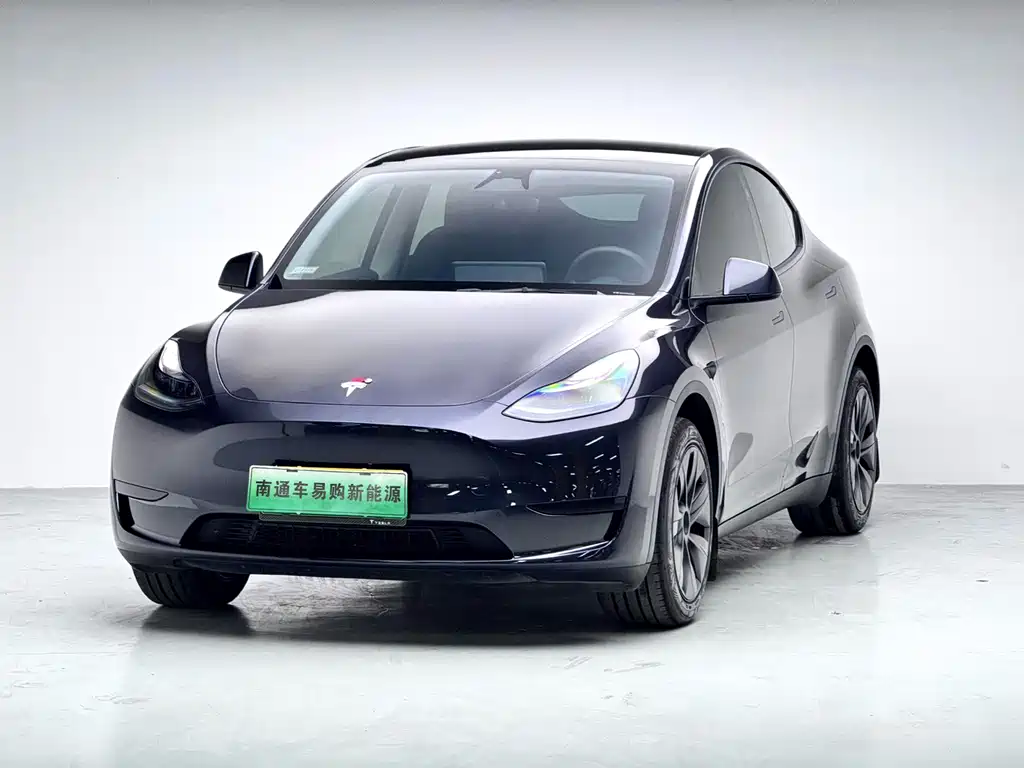 Model Y 2024 rear-wheel drive version купить на сайте DeffCars