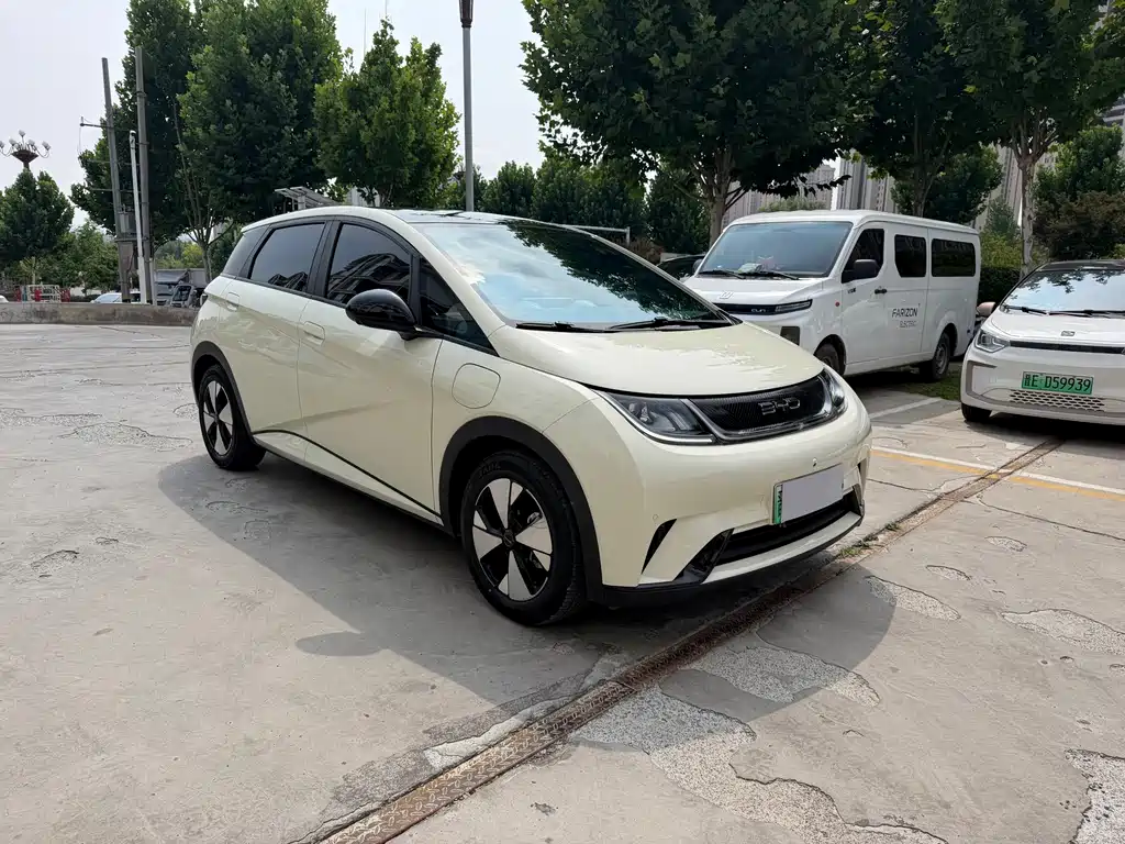 Dolphin 2023 420km Fashion Edition купить на сайте DeffCars