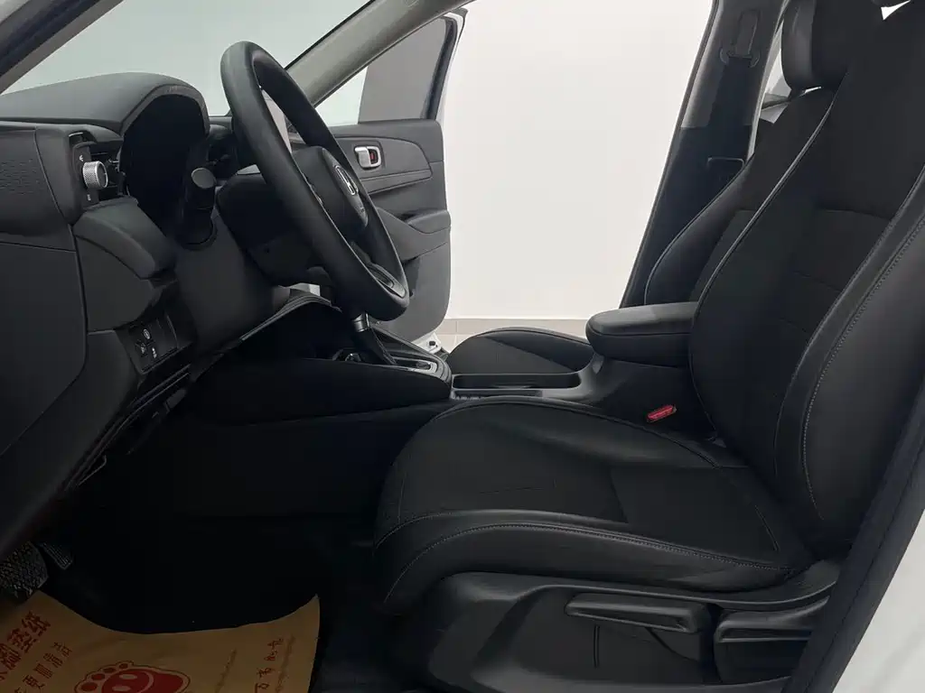 Binzhi 2023 1.5L CVT Pioneer Edition купить на сайте DeffCars