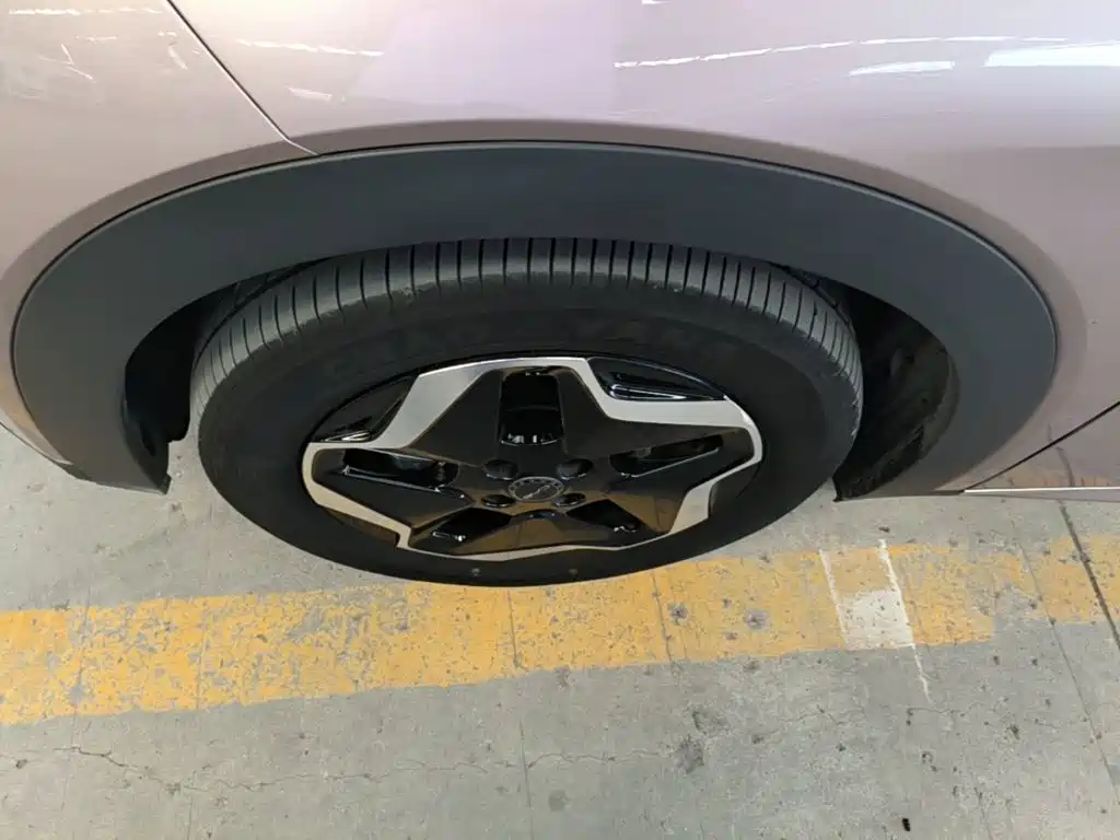 Dolphin 2021 405km Free Edition купить на сайте DeffCars
