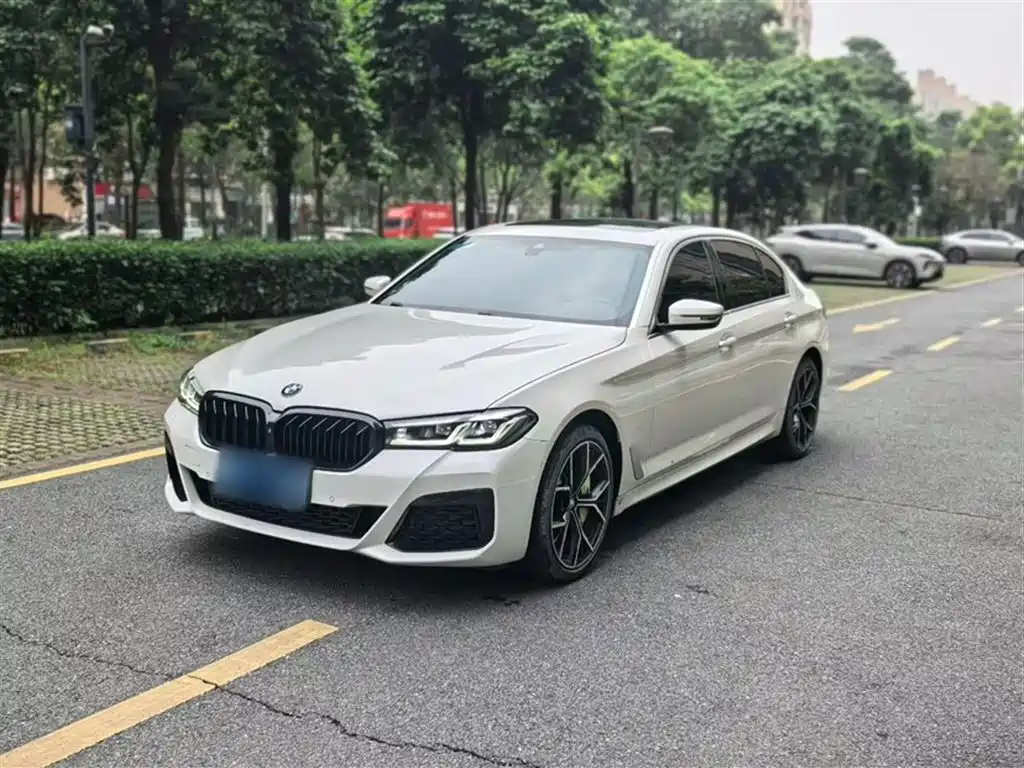 BMW 5 Series 2021 530Li Leading M Sports Package купить на сайте DeffCars