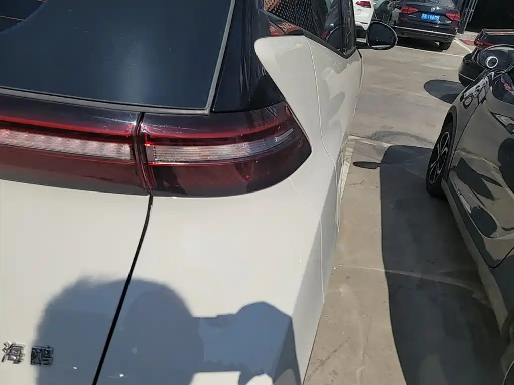 Seagull 2025 305km active version купить на сайте DeffCars