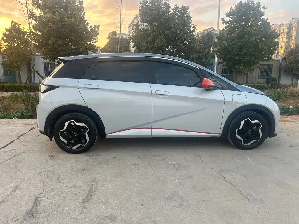 Dolphin 2021 405km fashion version купить на сайте DeffCars
