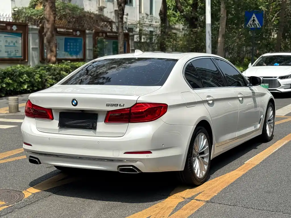 BMW 5 Series 2020 530Li Exclusive Luxury Package купить на сайте DeffCars