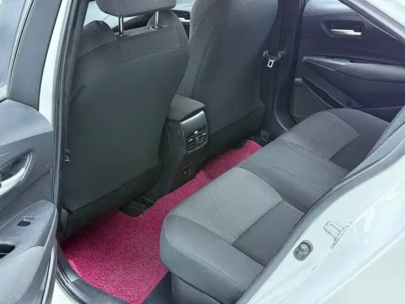 Ralink 2022 Dual Engine 1.8H E-CVT Leading Edition купить на сайте DeffCars