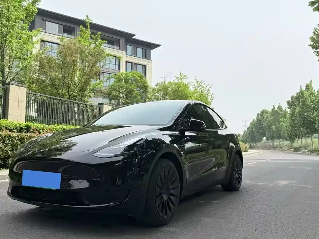Model Y 2023 rear-wheel drive version купить на сайте DeffCars