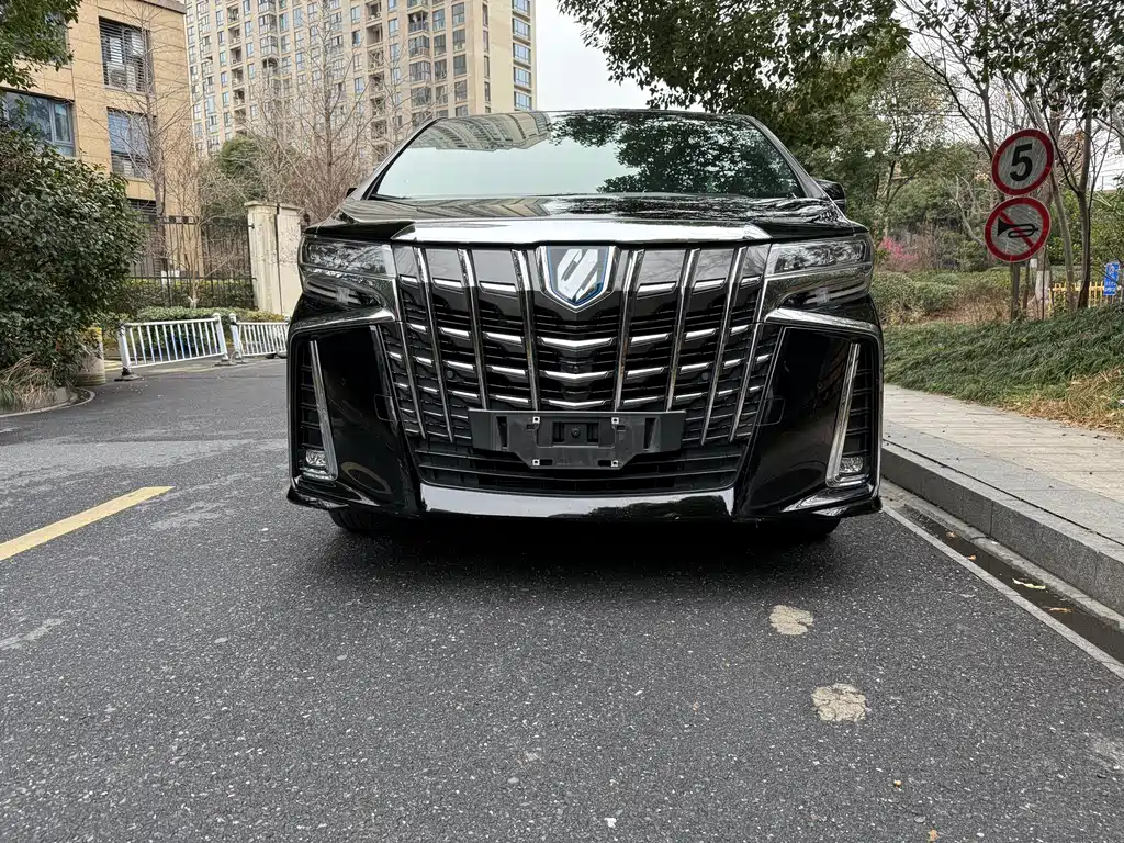 Alfa 2021 Shuangqing 2.5L Premium Edition купить на сайте DeffCars