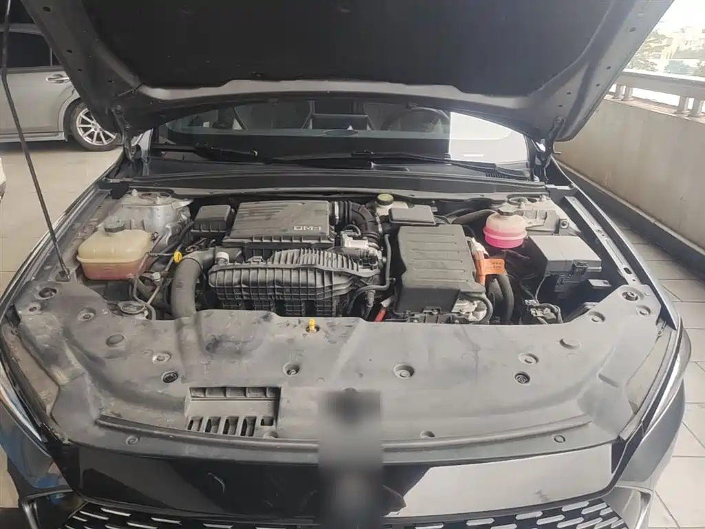 Qin PLUS 2021 DM-i 55KM flagship model купить на сайте DeffCars