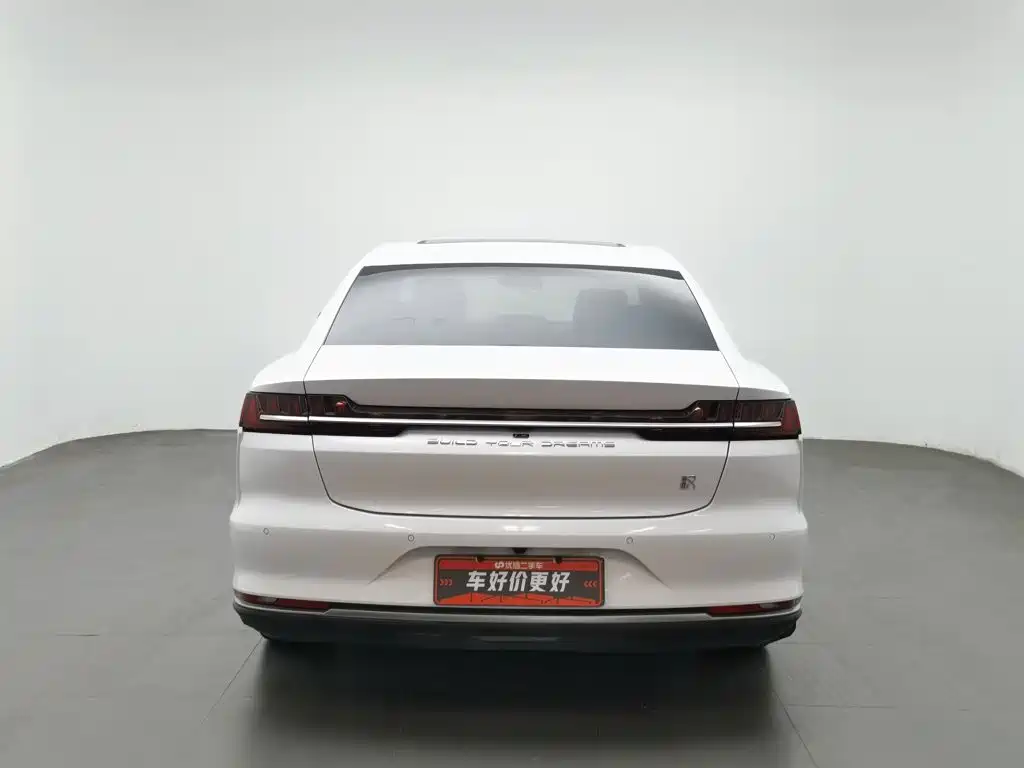 Han 2020 DM four-wheel drive performance version luxury model купить на сайте DeffCars