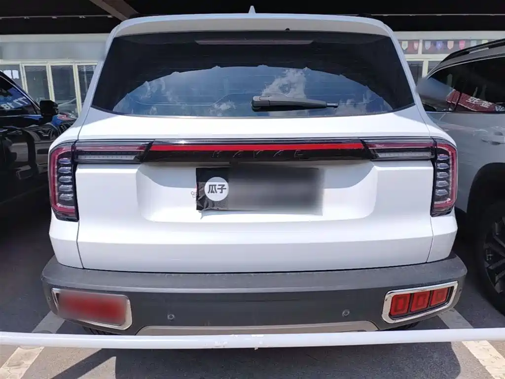 Haval Big Dog 2021 1.5T DCT two-wheel drive Border Collie version купить на сайте DeffCars