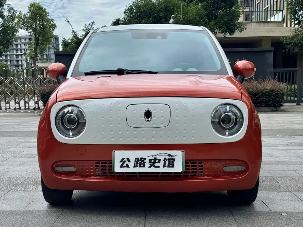 Ora Black Cat 2019 351km Goddess Edition купить на сайте DeffCars