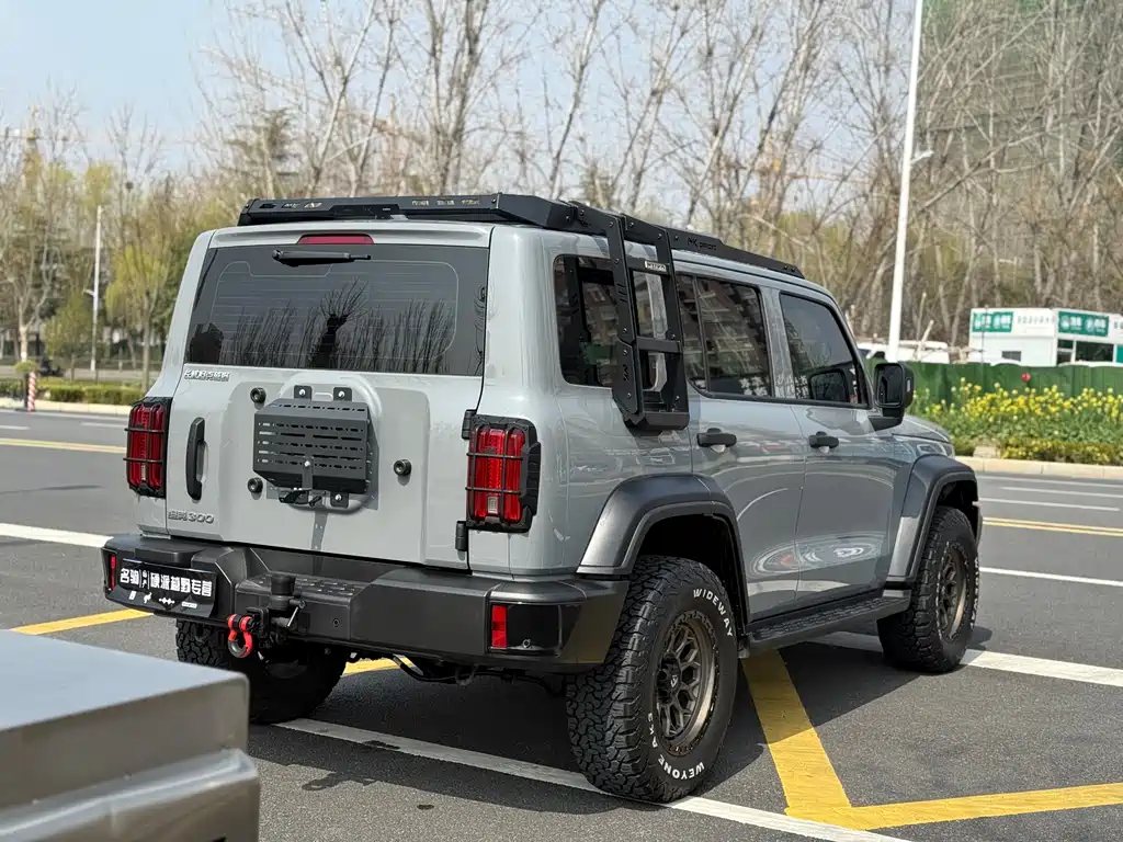Tank 300 2025 2.0T Gasoline Conqueror купить на сайте DeffCars