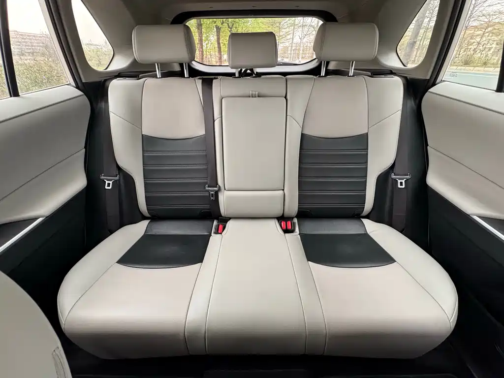 Wilanda 2020 2.0L CVT four-wheel drive luxury version купить на сайте DeffCars