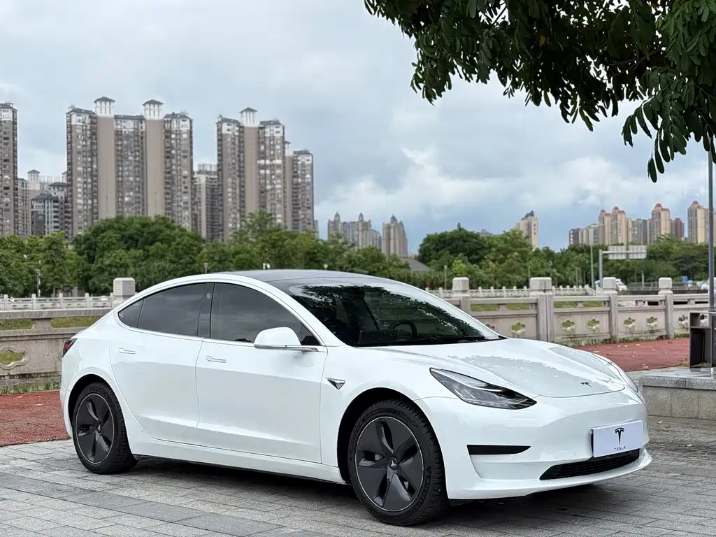 Model 3 2019 standard range rear drive upgraded version купить на сайте DeffCars