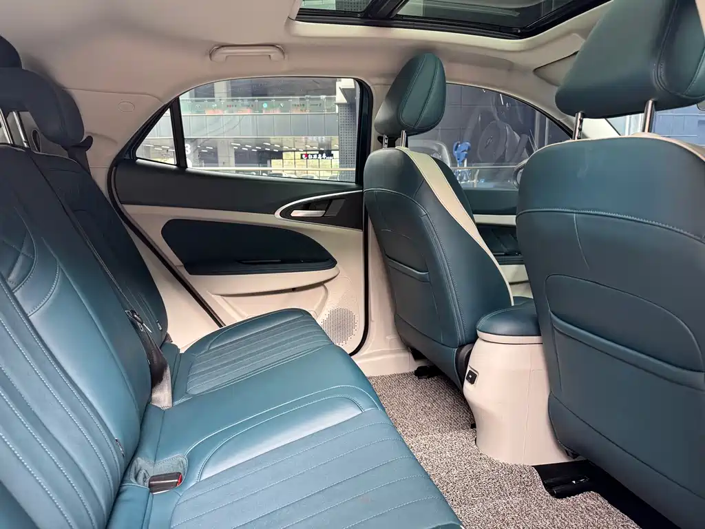 Euler Good Cat 2022 model 400km standard battery life premium type ternary lithium купить на сайте DeffCars
