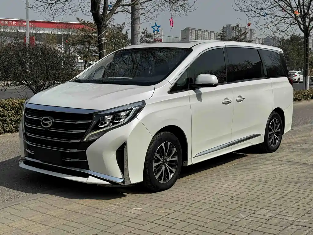 Trumpchi M8 2021 Lead Show Series 390T Exclusive Edition купить на сайте DeffCars