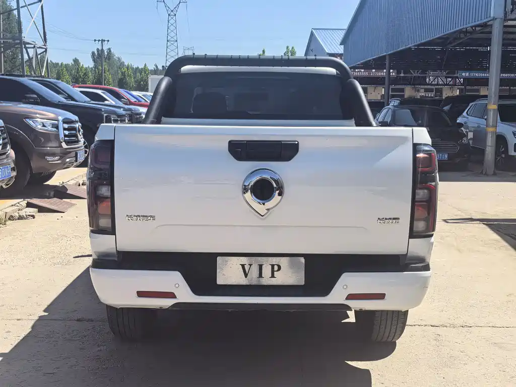 Cannon (Poer) 2023 2.0T Commercial Automatic Gasoline 4WD Pilot Long Case GW4C20B купить на сайте DeffCars