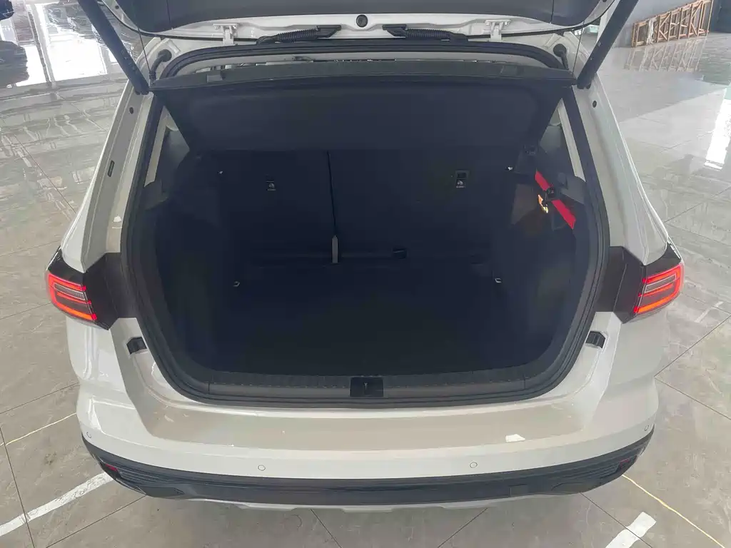 Tuyue 2024 300TSI 2WD Moon Edition купить на сайте DeffCars