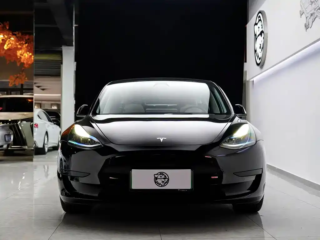 Model 3 2023 rear-wheel drive version купить на сайте DeffCars